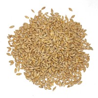 Barley 20kg
