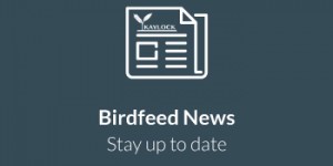 birdfeed-news
