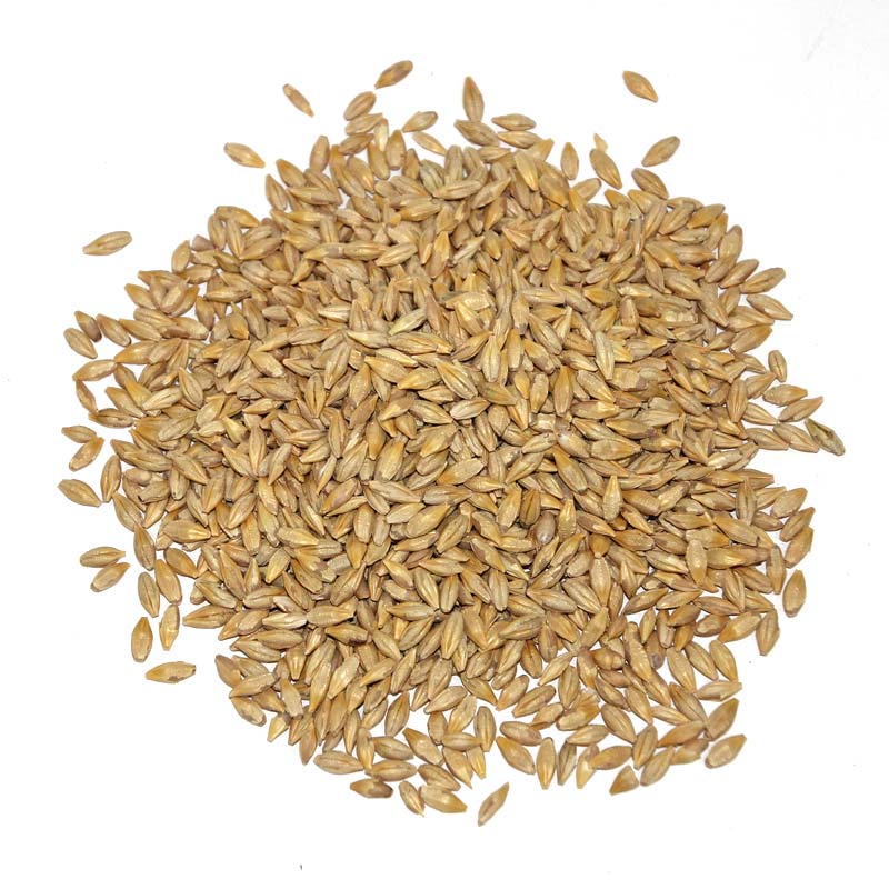 bulk-feed-barley